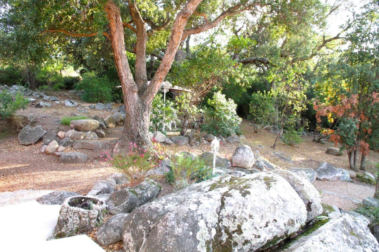 Residence Les Jardins de Sainte-Lucie Piscine chauffée Exterior foto